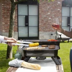 Princess 112252 Hybride Barbecue – Elektrische BBQ - Tafelmodel - 2000W - 44x 29cm - Gebruik Elektrisch Of Met Kolen 26 Princess 112252 Hybride Barbecue – Elektrische BBQ - Tafelmodel - 2000W - 44x 29cm - Gebruik Elektrisch Of Met Kolen -Beste Barbecue Grill winkel 1200x1200 186